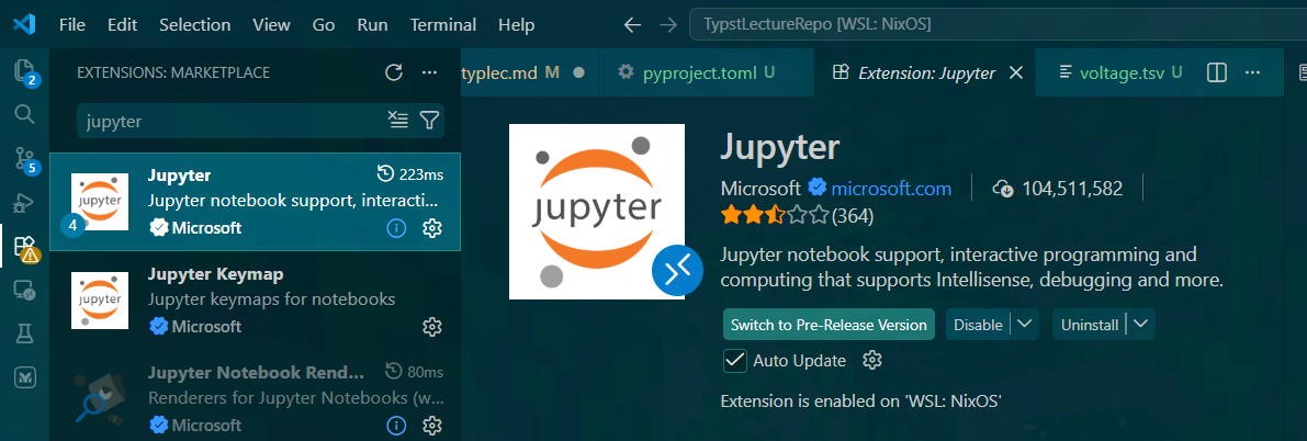 Jupyter Extension