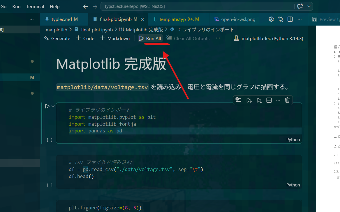 jupyter run all